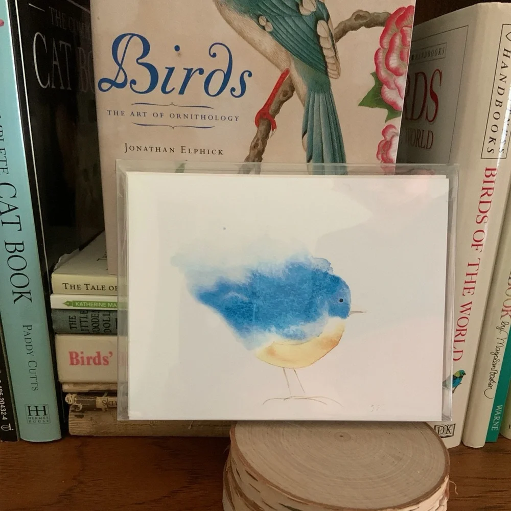 Boxed Set of 6 Note Cards. Whimsy Bluebird SKU 178